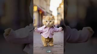 Cat dance | Kucing imut joget brem#cute #cat #catdance #funny #ai #shorts #fypシ゚viral