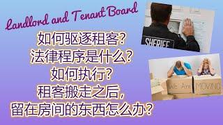 房东房客法庭| 驱逐租客的程序是怎么样的？如何执行？租客搬走之后东西还留在出租屋，怎么办？【加拿大安省法律】