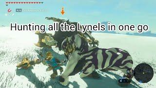 Zelda BOTW, Hunting all the Lynels in One Go