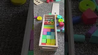 How to organize the Lovevery Block Set!  #momhack #buildingblocks #cleanup