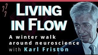 The Free Energy Principle and other Potential Secrets of the Universe with Karl Friston