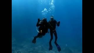 Diving with Nomanism 30-03-2019 Dive 1