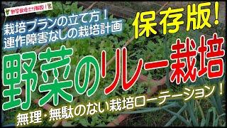 野菜のリレー栽培（年間の連作プラン・栽培ローテーション&連作障害を防ぐ！野菜がよく育つ栽培プランの立て方）