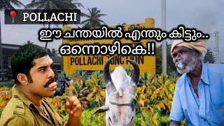 തമിഴകം വിറപ്പിച്ച വില്ലന്മാർ വിലസിയ സ്ഥലം..𝗣𝗼𝗹𝗹𝗮𝗰𝗵𝗶 𝗠𝗮𝗿𝗸𝗲𝘁|𝗧𝗮𝗺𝗶𝗹𝗻𝗮𝗱𝘂 #malabarbeedi