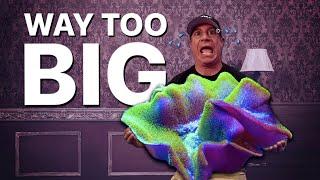 The BIGGEST Leather Coral We've Ever Seen!! *MIND BLOWN *