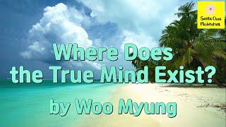 Master Woo Myung - How to Find True Mind - Where Does the True Mind Exist?