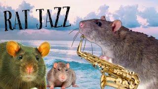 Rats & Jazz (very nice)