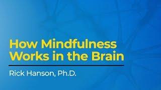 How Mindfulness Works in the Brain