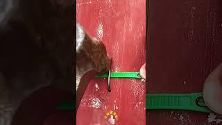 Practical methods for fixing plastic pipes on walls