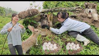 The life of a Vietnamese rural girl building a farm in the mountains