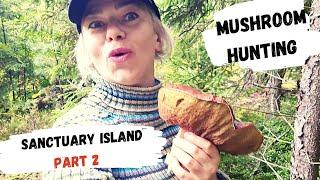 BELARUS:  MUSHROOM HUNTING / SANCTUARY ISLAND IN VITEBSK REGION