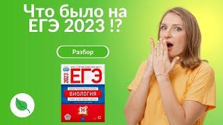 Что было на ЕГЭ 2023!?