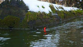 WINTER STEELHEAD BOBBER DOWNS ON A TINY RIVER - The Best Bite We’ve EVER Seen!