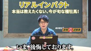 【リアルインパクト】 産駒デビュー2年目で既に大きな傾向が！今が旬の種牡馬！