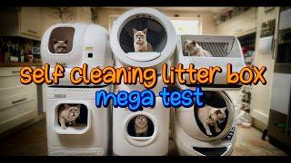 Self Cleaning Litter Box Mega Test: LITTER-ROBOT 4 REVIEW