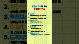 물대신 마셔도 되는 차 종류 7가지 #정보 #건강 #상식