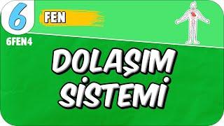 Dolaşım Sistemi  6FEN4 #2025