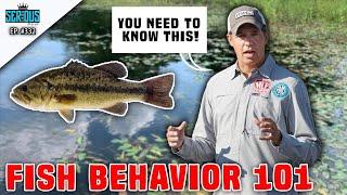 STEVE BARDIN (Fisheries Biologist) on Fish Behavior and Lake Management 101