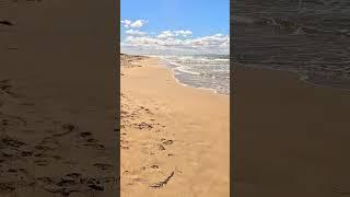 Queenscliff Beach #shorts #melbourne #beach #summer