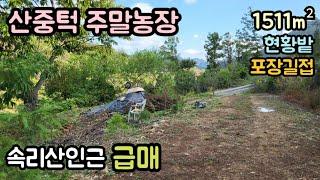 (매물번호14197) 4800만원 보은부동산 1511㎡(457) 보은땅 보은토지매매매물 청주부동산 청주토지 시골땅 촌땅 싼땅 급매 농막 주말농장 집터 산속토지 대전부동산 대전토지