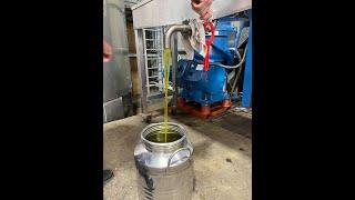 How to make Olive Oil