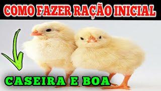 COMO fazer RAÇÃO INICIAL BARATA|caseira|ração  inicial para aves/pintinho, periquito, calopsita