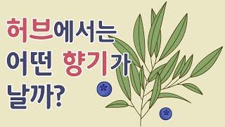 허브에서는 어떤 향기가 날까