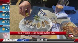 Dine % Dish: Hog Island Oyster Farm