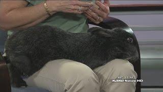 Easter at Sedgwick Co. Zoo
