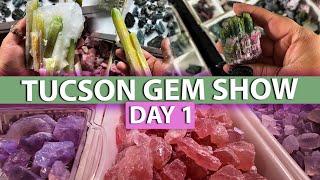 Tucson Gem Show Day 1 2024! Crystal Shop with me at the worlds largest gem show!