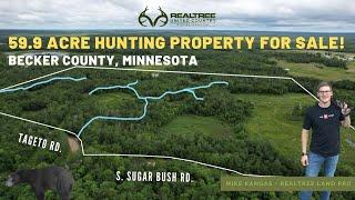 59.9 Acre Hunting Property For Sale With Deer & Black Bear! | Land In Becker County, Minnesota!