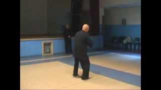 Taiji Quan e Qi Gong a Roma - Maestro George Xu - Forma Chen