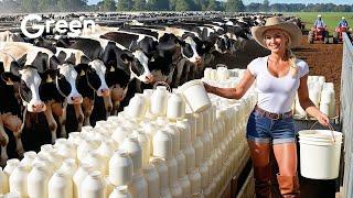 Farmers Couldn't Believe This Machine, Until They Saw How It Worked - Agriculture Technology