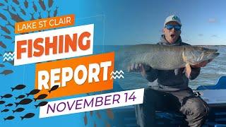 Lake St. Clair Fishing Report | November 14