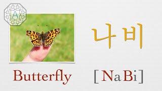 【Korean Vocab 101】 How to pronounce "Butterfly" (나비) in Korean  | Koreanescent