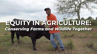 Equity in Agriculture: Conserving Farms and Wildlife Together