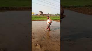#bhojpuri #song पर्यावरण की ढेर सारी बधाई। एवं हार्दिक शुभकामनाएं। जय जवान जय किसान