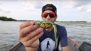 Grass Fishing Tips: Top 3 Bass Baits For Vegetation