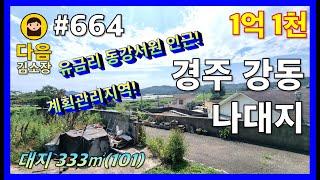 #664 경주 강동면 유금리 나대지 #다음공인중개사 #010-2622-8488 #계획관리지역 #동강서원