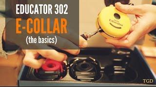 E-Collar Technologies Educator Mini Double Dog 302 Set Up