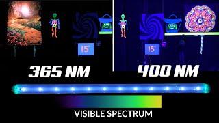 DIFFERENCE between 365nm and 400nm UV LED Black Lights Explained VISUALLY