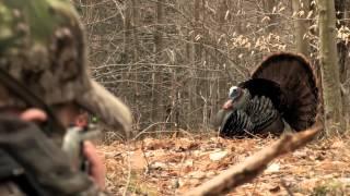 Turkey Hunting PA Youth Day