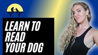 How to Read Dog Body Language & Behavior