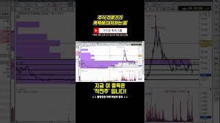 주식 20년 전문가가 폭락 종목에 대처하는 법