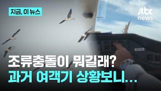 조류충돌이 뭐길래?…과거 충돌 여객기 상황보니｜지금 이 뉴스