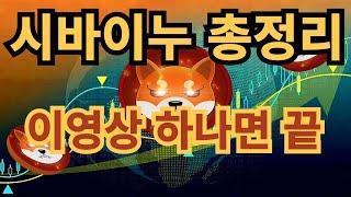 시바이누 총정리!! 이영상하나로 끝!! 시바이누 종결!! 반박 불가 영상!!