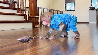 Bibi panicked and curious when seeing the toy cockroach given by Fan