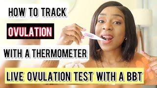 TMII Used A CHEAP Thermometer To Track My Ovulation n Conceived. How To Use A BBT