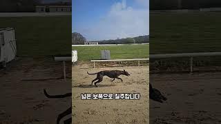 날쎈돌이