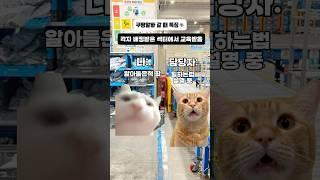 쿠팡알바 처음 갈 때 특징 ㅋㅋ #고양이밈